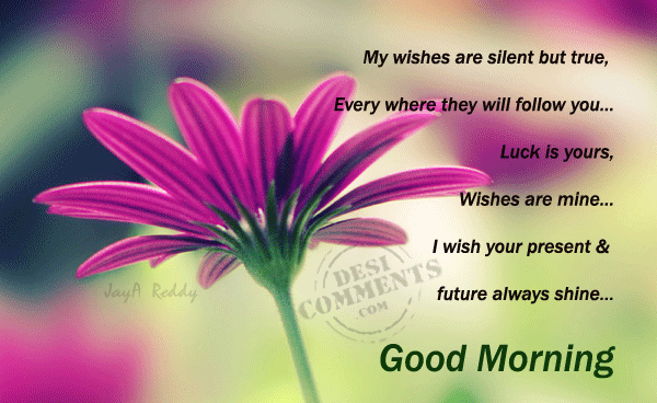 My Wishes Are Silent - Good Morning-wg06516