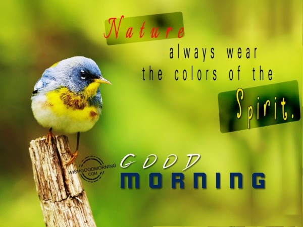 Nature Always Wear The Colors-Good Morning-wb78098