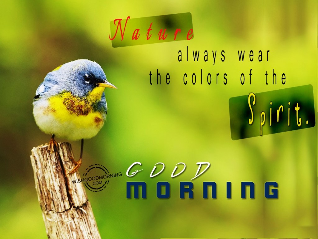 Nature Always Wear The Colors-Good Morning