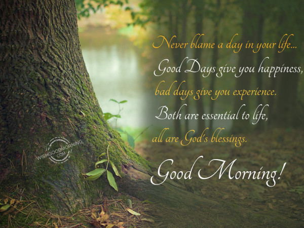 Never Blame A Day-Good Morning-wb78099