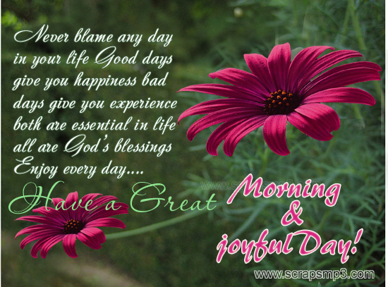 Never Blame Any Day In Your Life-wg06517