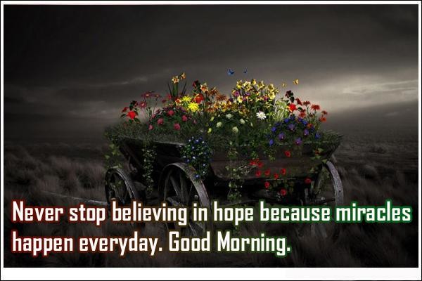 Never Stop Believing-wg01652