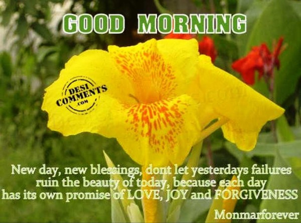 New Day New Blessings-wg01385