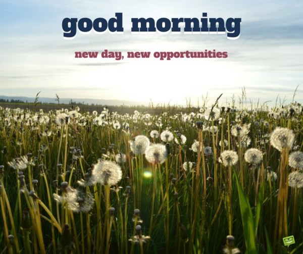 New Day New Opportunities !-wg01103