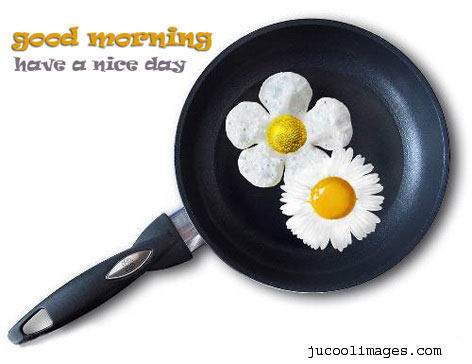 Nice Graphic Morning Image-wg03433