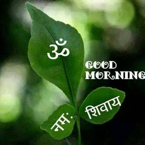 Om Namah Shiva Good Mornig-wm0344