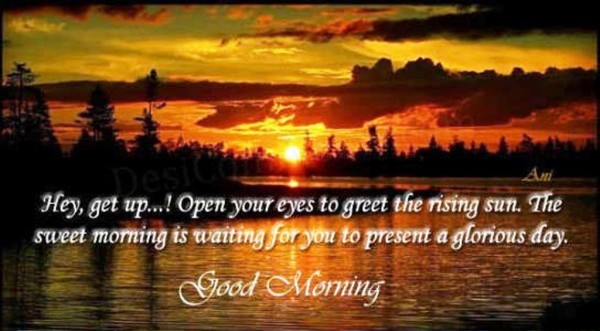 Open Your Eyes To Greet The Rising Sun-wg01386