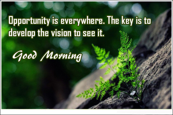 Opportunity Is Everything !-wg01654