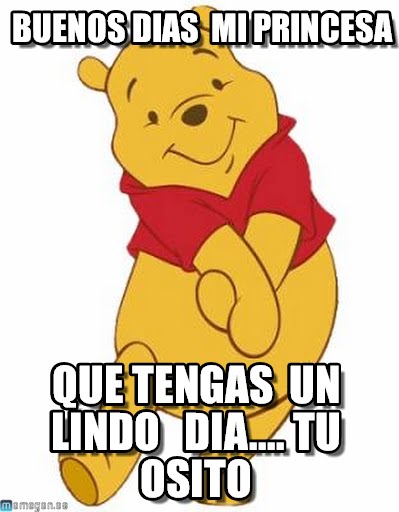 Pooh Says Buenos Dias Mi Princesa-wm02121
