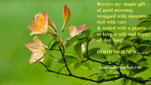 Receive My Siimple Gift Of Good Morning-wg01657