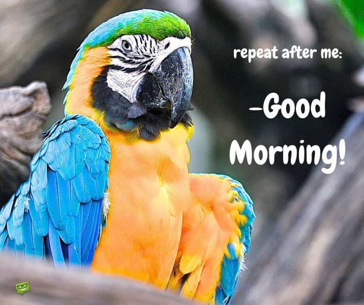 Repeat After Me – Good Morning - Good Morning Wishes & Images