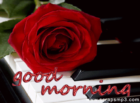 Sending A Beautiful Rose To Wish U Good Morning-wb01176