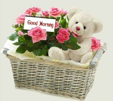 Sending Teddy To Wish U Good Morning-wm1853