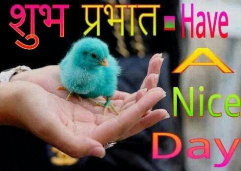 Shubh Parbhat Have A Nice Day-wm030