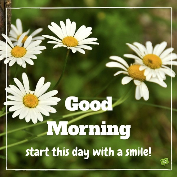 Start Thid Day With A Smile - Good Morning-wg017186