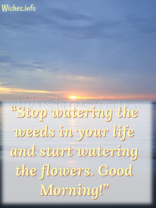 Stop Watering The Weeds-wb0652