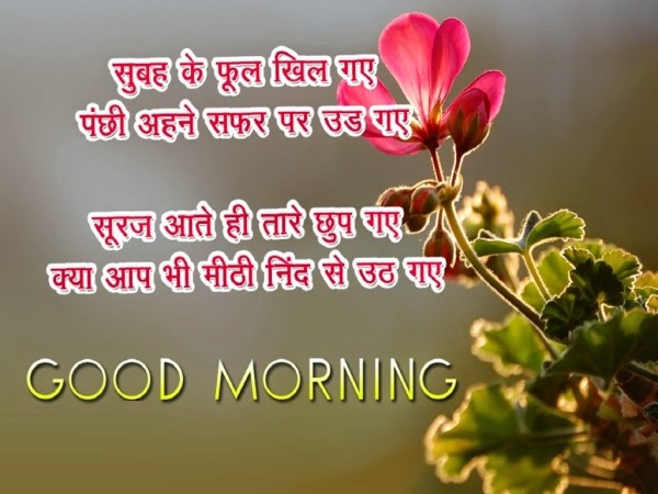 Subha Ke Phool Khil Gaye - Good Morning-wg01789