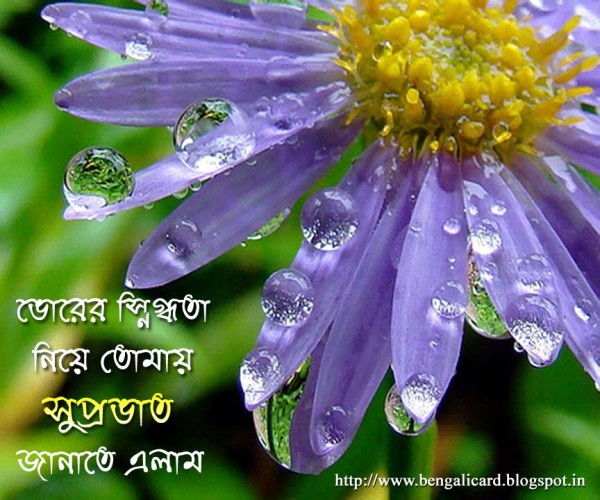 Good Morning Wishes In Bengali Pictures, Images