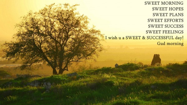 Sweet Morning Sweet Hopes-wb78124