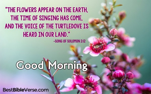 The Flowers Appear In the Earth-Good Morning