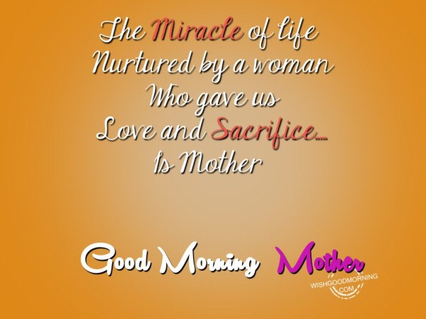 The Miracle Of Life-Good Morning-wg9515
