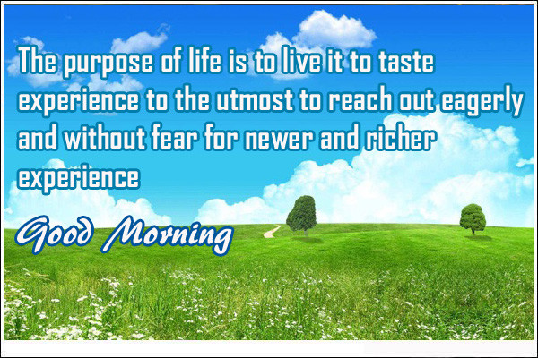 The Purpose Of Life Is To Live-wg01665