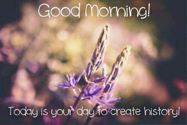 Today Is Your Day - Good Morning-wg0529