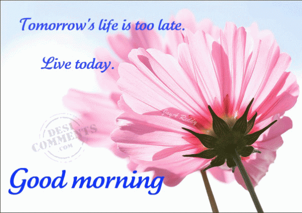 Tomorrow’s Life Is Too Late-Good Morning