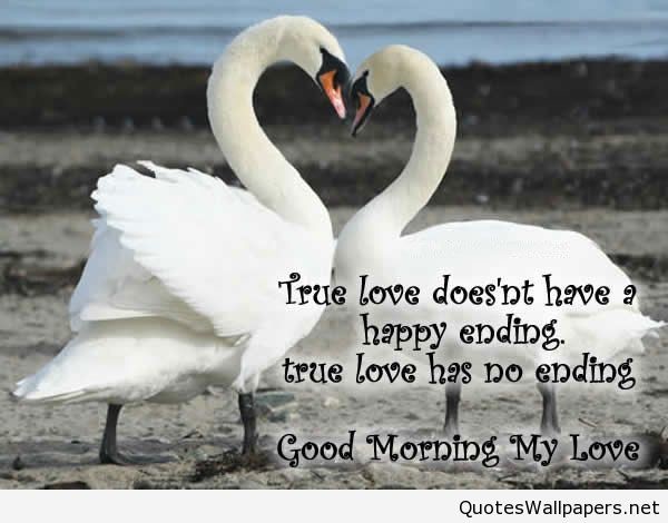 True Love Does not Have A Happy Ending-wg01667