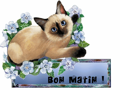Wish You A Very Bon Matin-wm22148