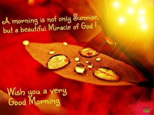 Wish You A Very Good Morning-wg0531