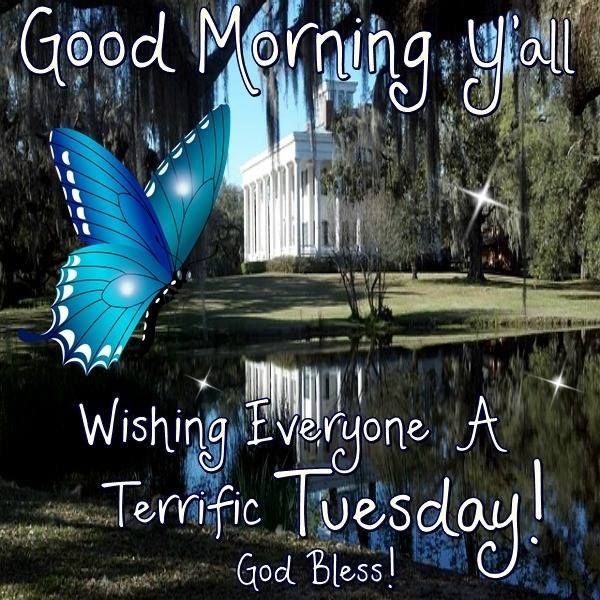 Wishing Everyone A Terrific Tuesday-wg01792