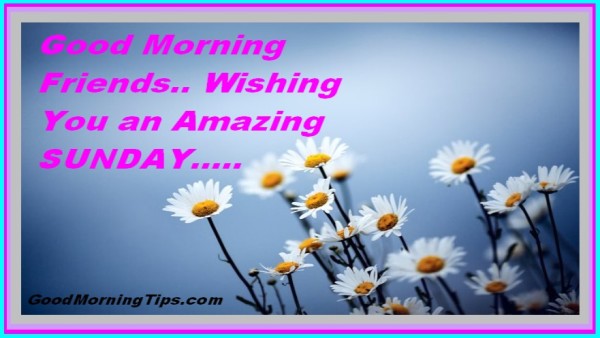 Wishing U An Amazing Sunday - Good Morning-wg55
