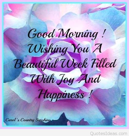 Wishing You A Beautiful Week Filled With  Joy-wg01670