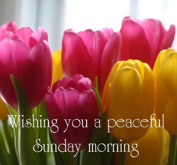 Wishing You A Peaceful Sunday Morning-wg0741