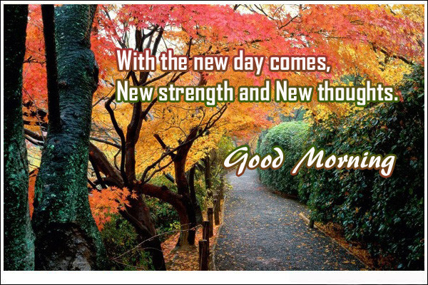 With The New Day Comes-wg01671