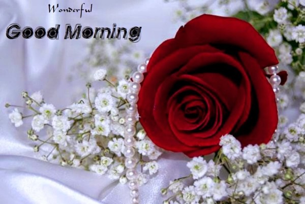 Wonderful Good Morning-wg36334