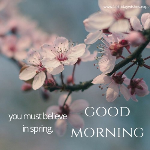 You Must Believe In Spring - Good Morning-wg015119