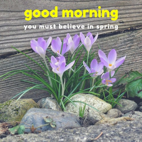 You Must Believe In Spring-wg01794