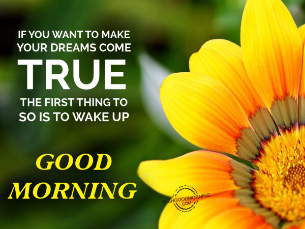 Your Dreams Come True-Good Morning-wb78159