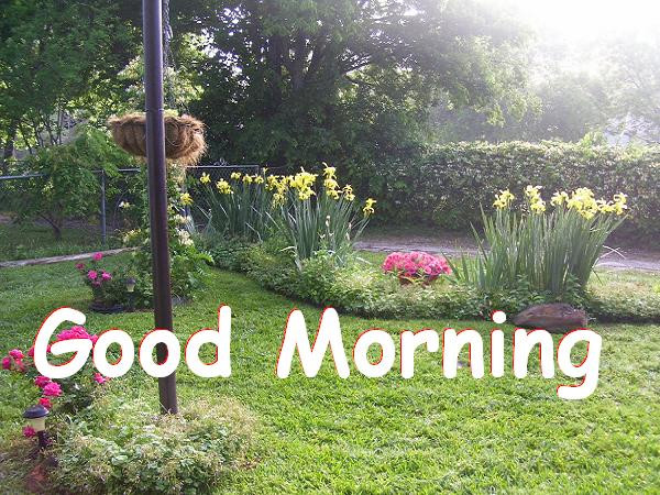 have A Amazing Morning-wg8247