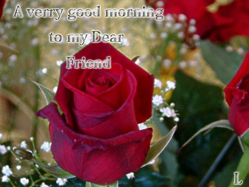 A Very Good Morning To My Dear Friend !-wg0180002