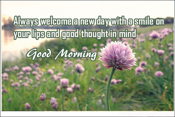 Always Welcome A New Day - Good Morning-wg140059