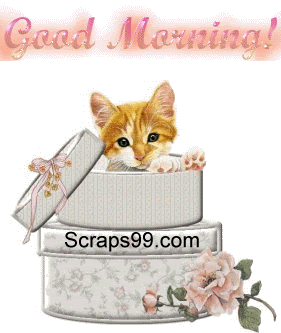 Animated Cat  - Good Morning-wg034030