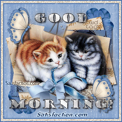 Glittering Cat Image -  Good Morning-wg034037