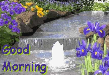 Animated Water Pic - Good Morning-wg034048