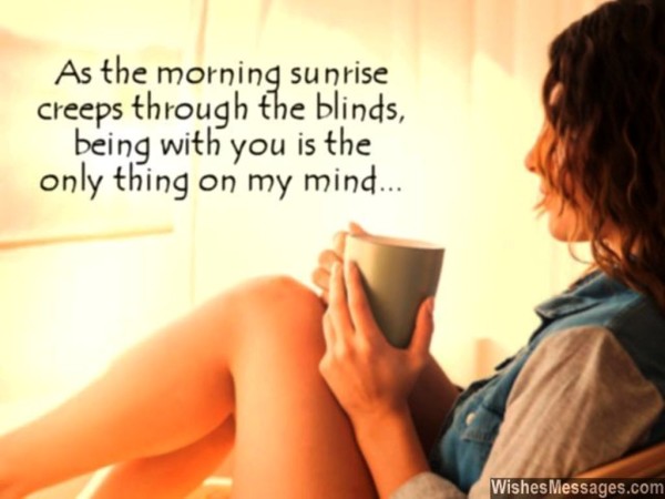 A Morning Sunroses-wg023026