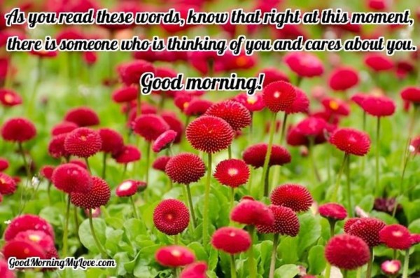 As You Read This Words- Good Morning-wg034052