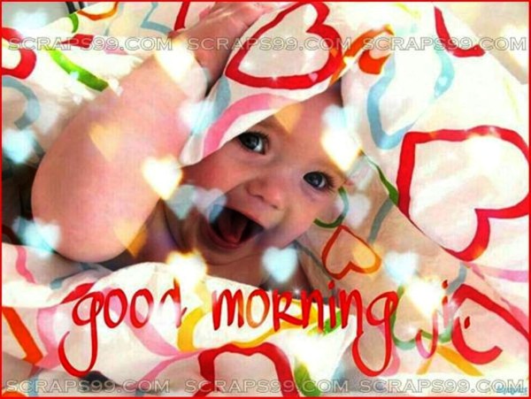 Baby Image - Good Morning-wg023027
