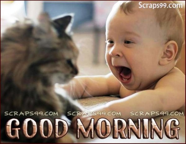 Baby - Good Morning-wg023028